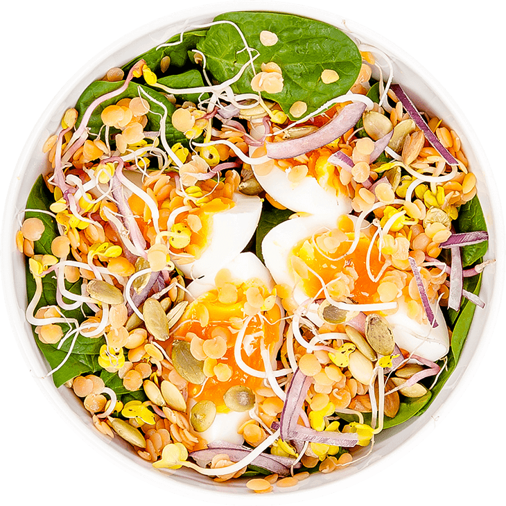Salad with egg and lentils